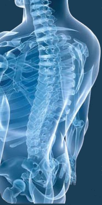Philadelphia Main Line
Chiropractor Montgomery Delaware Chester County PA
Pennsylvania